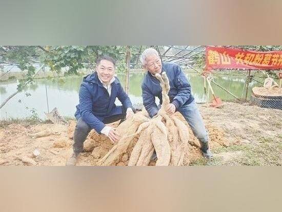 广货行天下 | “鹤山粉葛”品牌越来越亮，远销海外！