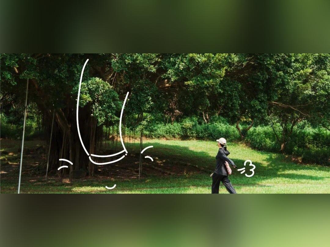 小众少人!新年第一场郊游,推荐深圳的这7处露营草坪