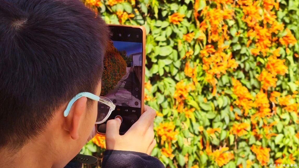 年味到，狮山炮仗花开啦！