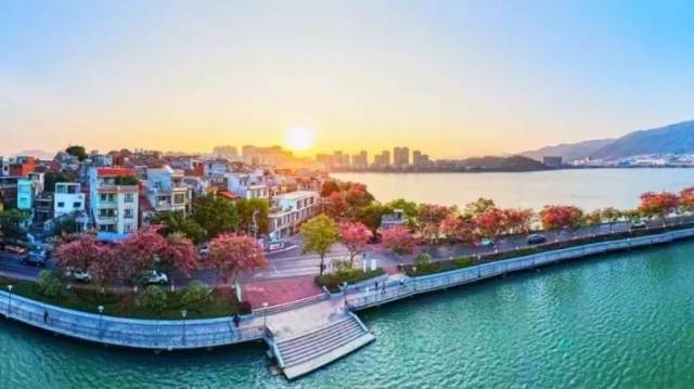 告别了嘉禾望岗,下一站,来肇庆“出头”!