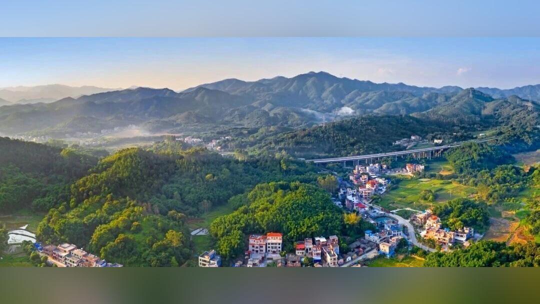 中新申请出战!从嘉禾望岗出发,终生(中新)等你