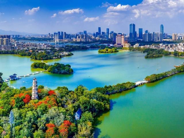 代表委员变“带货达人”！“惠州制造”要火出圈！