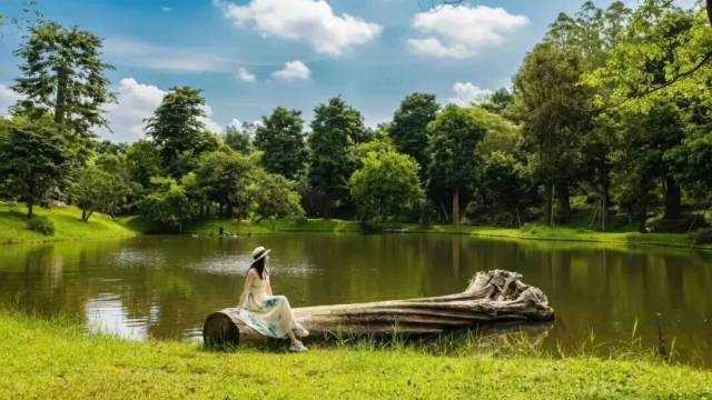 嘉禾望岗的“祝你平安”,我在柏塘收到了