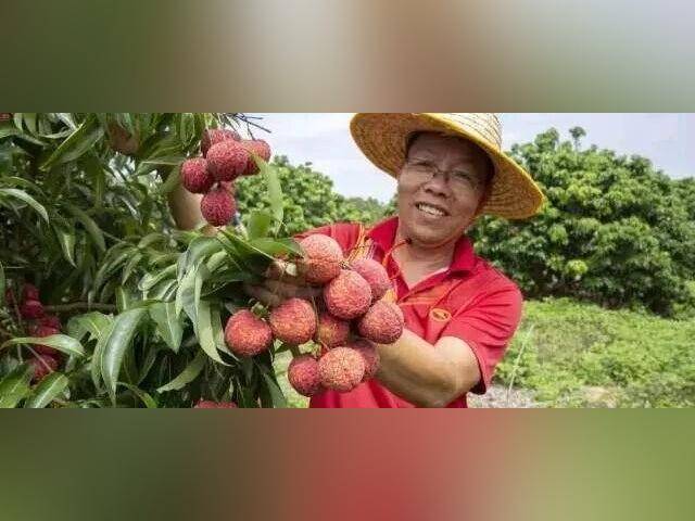 广东农产品进出口额全国第一!