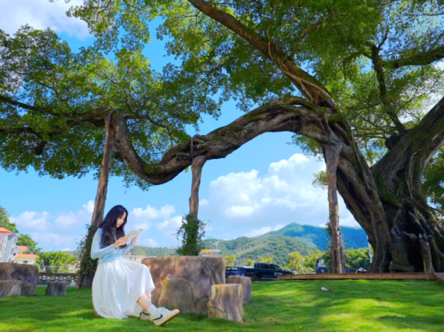 请到龙门过大年|来218最美旅游公路驿站,解锁您的新春诗意慢游