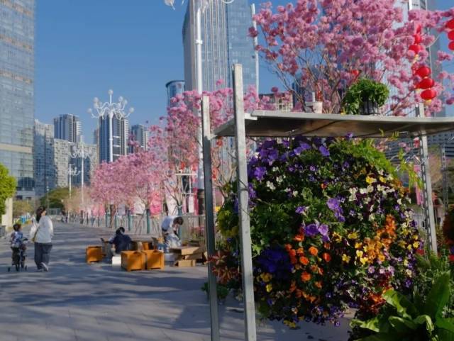 宝安迎春花市明天上线!打卡全攻略来了→