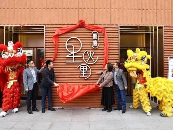 新春打卡新去处!顺德星火里联动文艺花市启幕