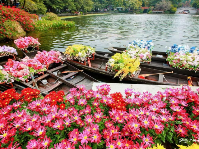 跟着“画中人”逛千年花渡!2026荔湾水上花市即将开锣→