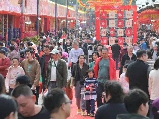 沙岗墟迎春花市,正式开市!