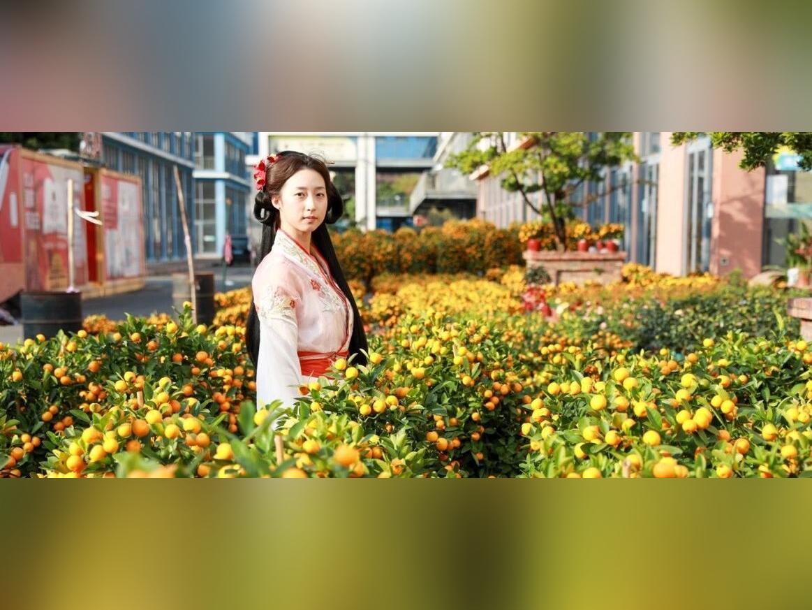 行花街!茶山迎春花市上线!一站式解锁新春年味!