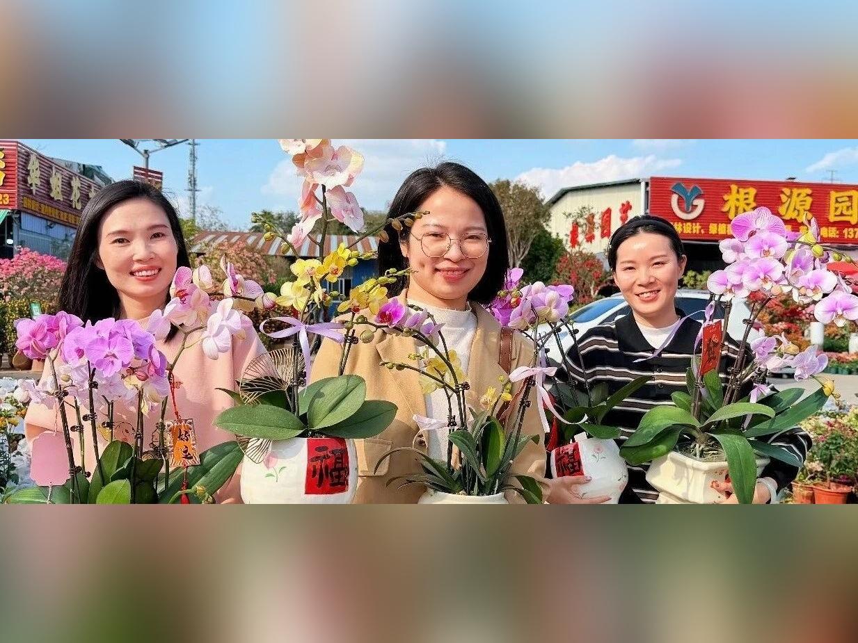 逛花市,寻年味!@阳江街坊,这些爆款别错过