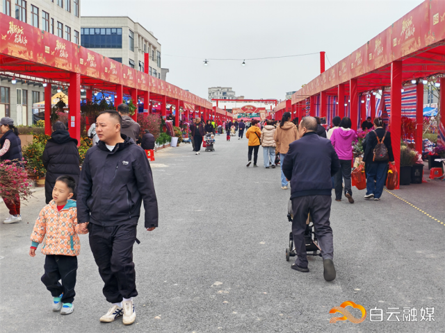 人和镇马年花市开市人气旺
