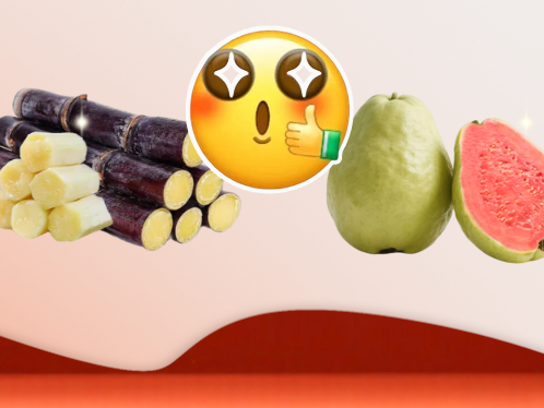 “蔗”“番石榴”真甜！快来尝鲜→