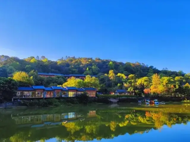 来博过大年!引领区的宝藏民宿,藏着你想要的慢生活