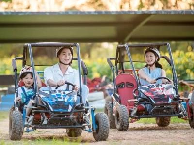 春节带娃去哪？惠州这些宝藏地，好玩又有年味