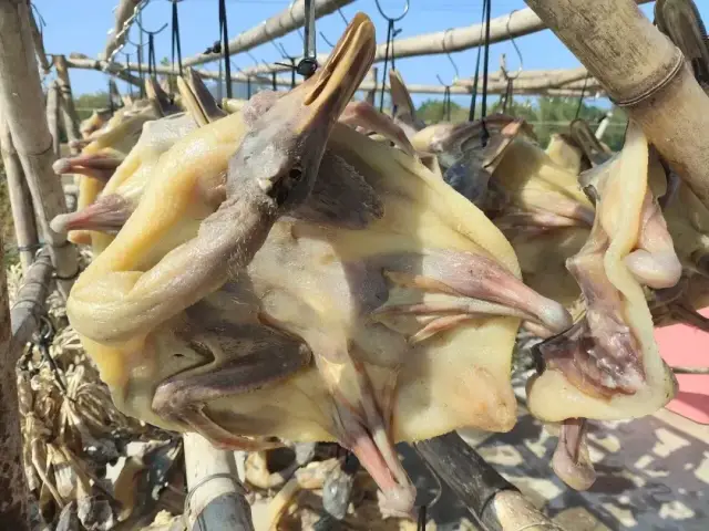 广货行天下·恩平有好物｜恩平腊味：藏在阳光与北风中的“年味密码”