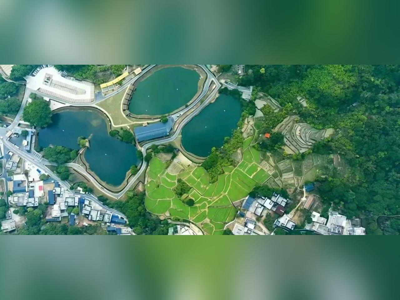 茂名:云上南清・生态兴村 农文旅融合走出富民路