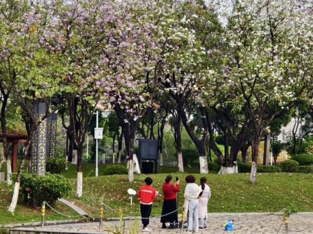 阳春三月花满园 番禺儿童公园春日盛景迎客来