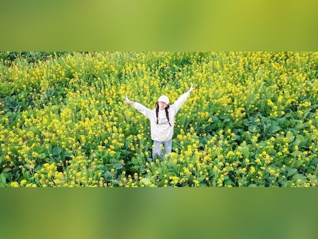 金色花海已上线!目的地:增城