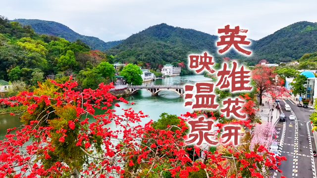 广州从化：英雄花开映温泉