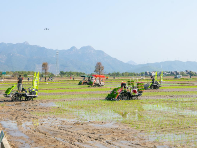 毫不放松抓好粮食生产 全面筑牢粮食安全根基——2026年全省春耕现场会在台山召开