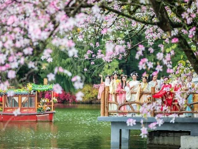 火上央视的星湖花海！这个春天一定要来，赏花攻略+优惠福利全在这→