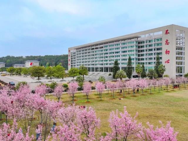 樱花盛开春意浓，始兴赏樱正当时