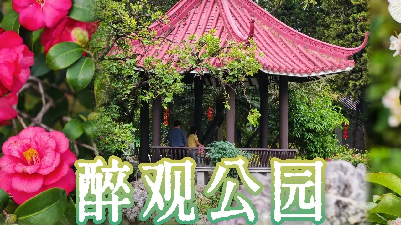 3月限定！今年第一场春游，锁定荔湾这里→