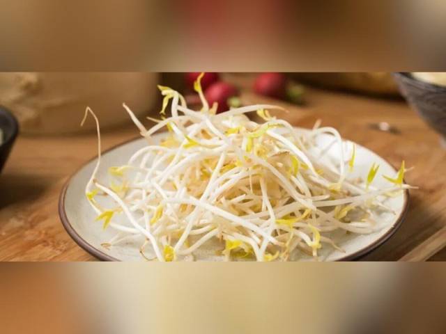 这一口鲜嫩，享受春天满满的生命力