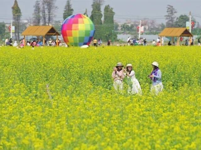 最佳赏花期到了！