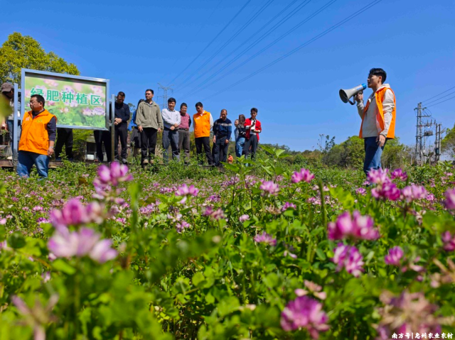 春耕备耕 | 绿肥养地又增收!博罗这场观摩会藏着农业提质新密码