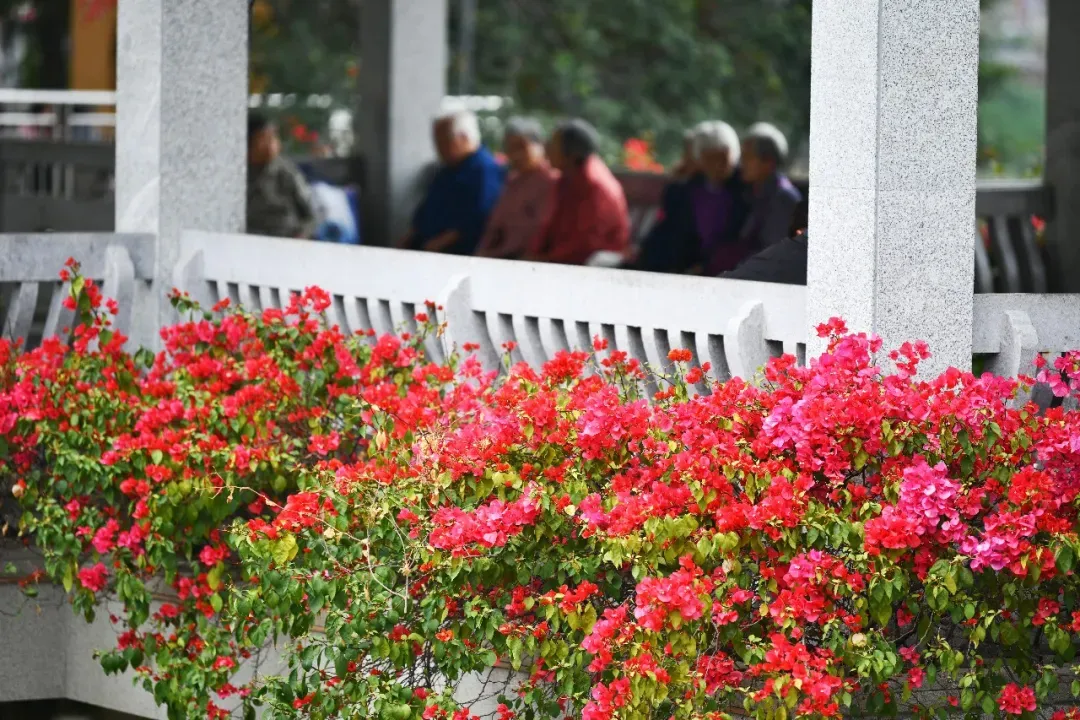 冯铭军 摄 冯铭军 摄