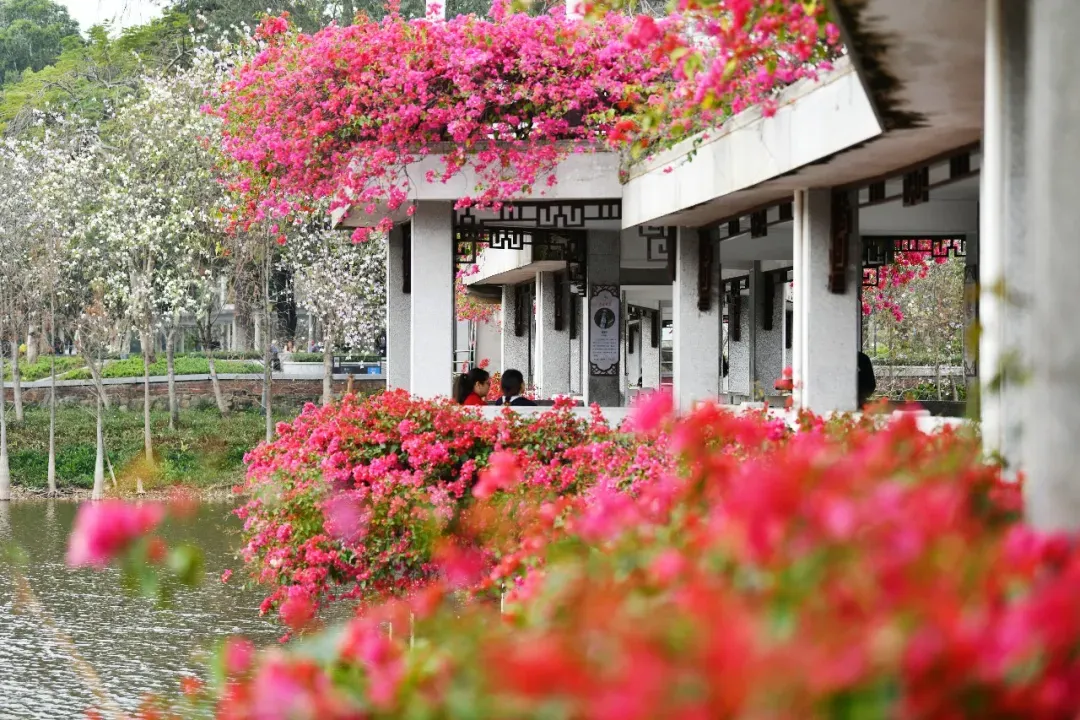 冯铭军 摄 冯铭军 摄