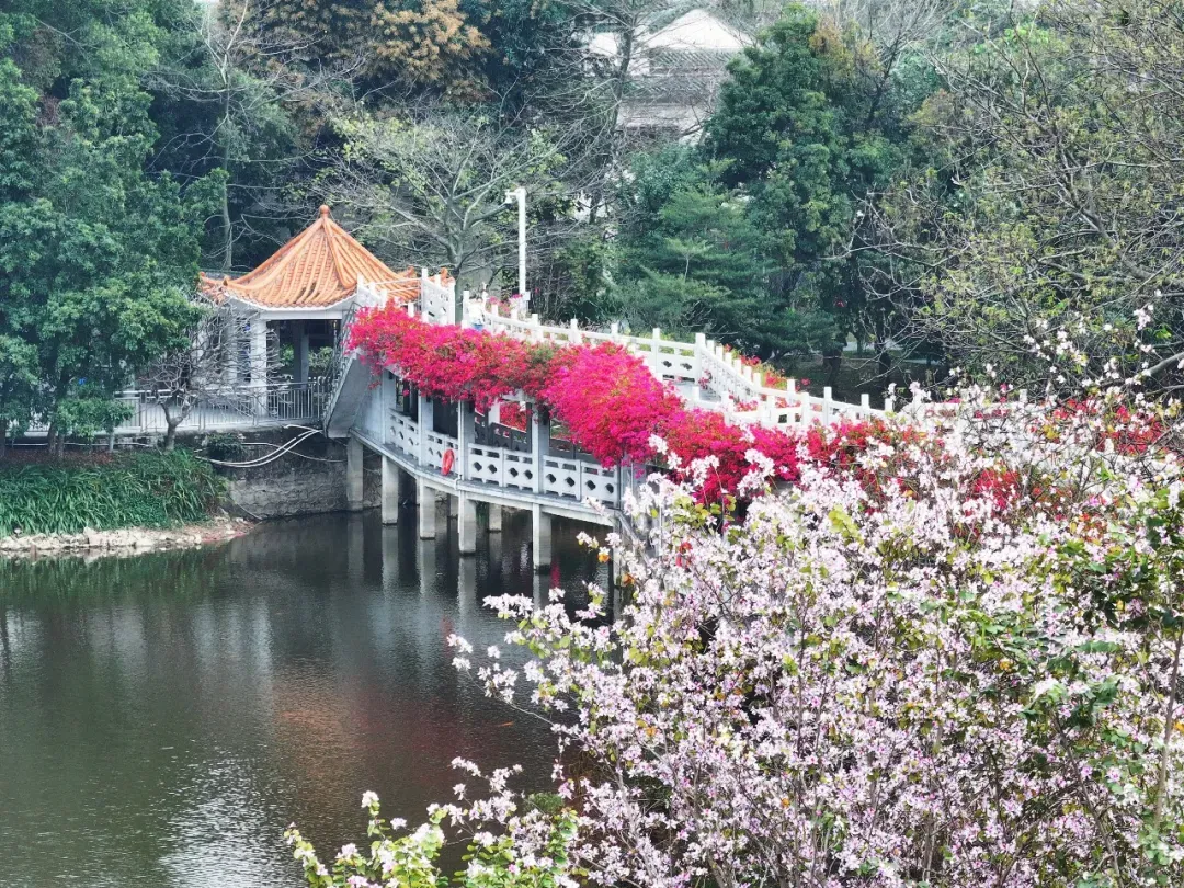 梁晓辉 摄 梁晓辉 摄