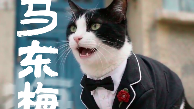 马年就要看东莞VS梅州 ！3月22日，粤BA就要看“马东梅”