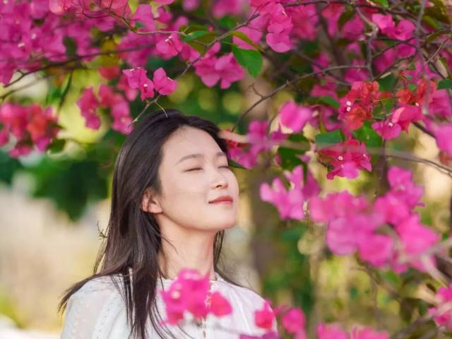 博罗这面花墙，我愿称之为春日“天花板”