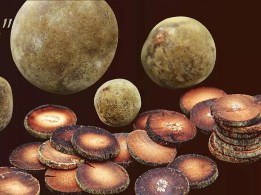 广货行天下 ｜“茂名三宝”报到：止咳、甜蜜、清爽！