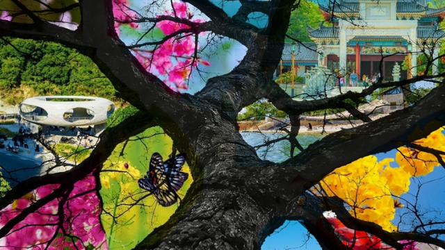 用博罗的风景拼出了春和景明