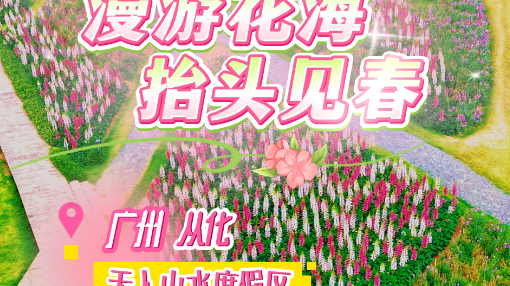 三月的广州从化春光正好，天人山水度假区里花海浪漫盛放。