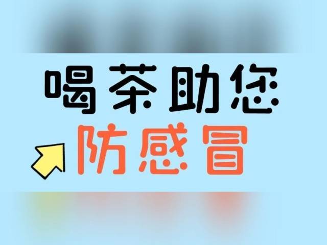 五款茶饮方预防“倒春寒”导致的风寒、风热感冒