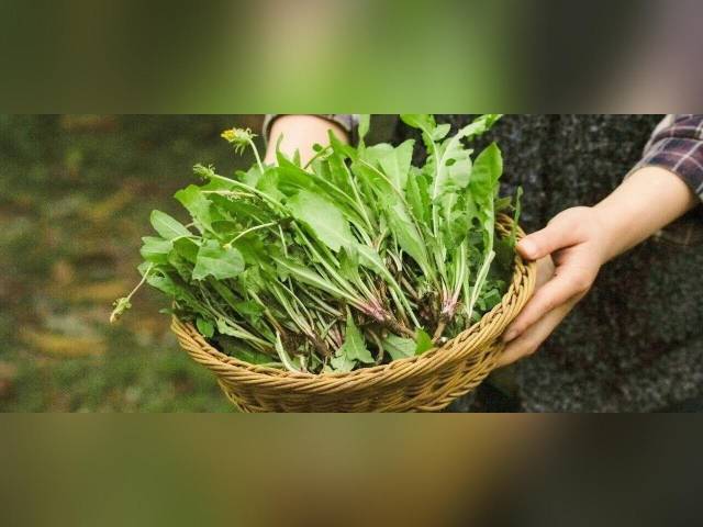 常吃这几种天然食材，给身体 “疏通散结”