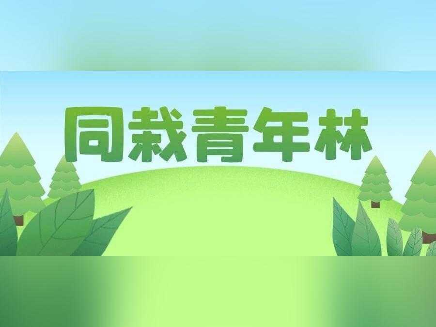 三百人同栽“青年林”!河源连平开展综合帮扶义务植树活动