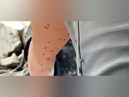 冲上热搜!今年蚊子可能迎来史诗级加强?网友:已杀疯!