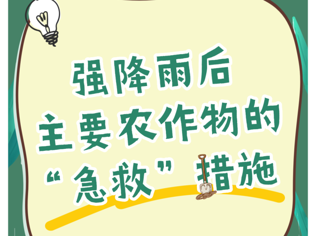 强降雨后主要农作物补救技术措施