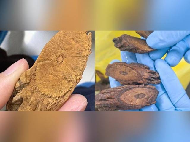 转发扩散，一定要注意识别！