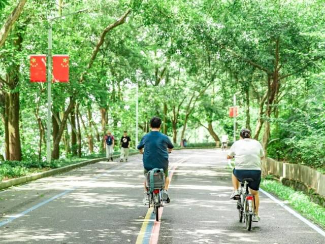 清明去哪儿？惠城踏青攻略来了，快收藏！