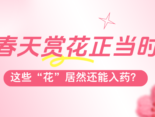 动态海报 | 春天赏花正当时，这些“花”居然还能入药？