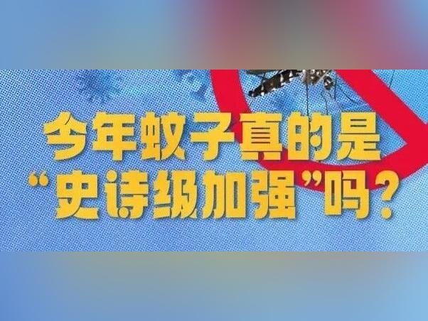 今年蚊子“史诗级加强”?广东疾控:暂无数据支撑