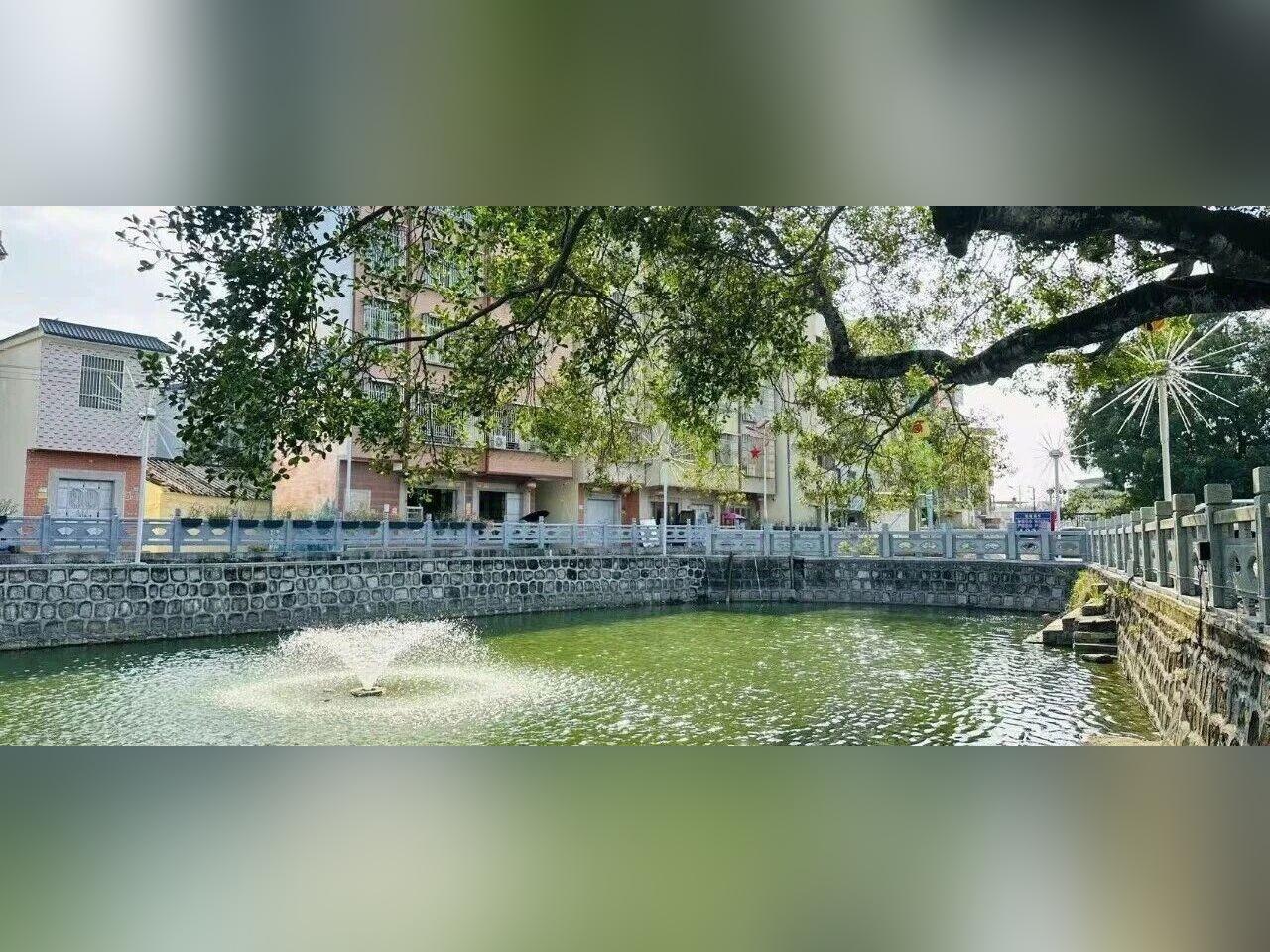 美在庭院 | 庭院美+文化浓+产业兴!揭阳白坑村解锁美丽庭院新模样