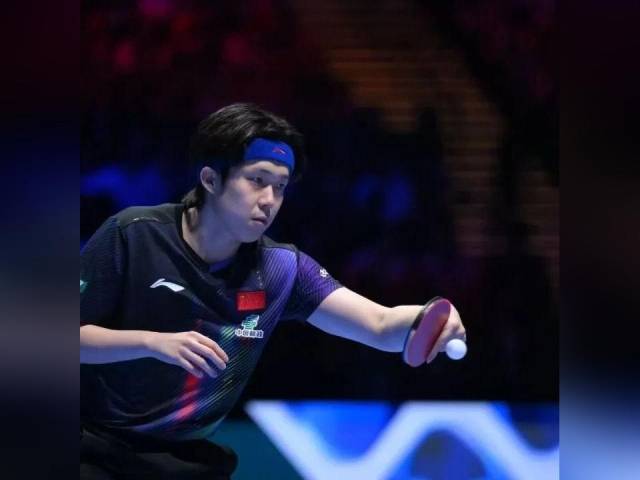 王楚钦世界杯夺冠